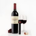thumbnail image 1 of Bomba de aire Abridor de botellas de vino Removedor de corcho de vino portátil Sacacorchos Herramienta de cocina, 1 of 7