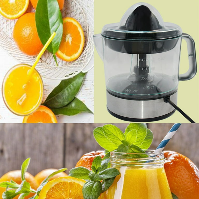 220V Electric Juicer Juice Extractor Fruits Juicing Machine