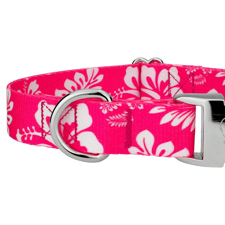 Hawaiian dog top collars and leashes