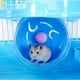 Cage de Hamster pour Animaux de Compagnie de 3 Étages Maison de Luxe Souris Portatives Maison Habitat Décoration Bleu – image 5 sur 8