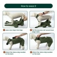 thumbnail image 4 of Kuoser Dog Surgery Recovery Suit Thigh Wound Protective Sleeve for Dog Rear Legs, Green, L, 4 of 8