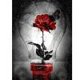 thumbnail image 2 of Cuadros Decorativos 5D DIY Diamante Pintura Día de San Valentín Rosa Taladro redondo completo Regalo (E1055) Tmvgtek embutido en tela, 2 of 9