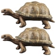 thumbnail image 1 of KAKOWELY toy turtle 2Pcs Realistic Tortoise Toy Land Turtle Model Ocean Animals Model Land Turtle Figurine Kids Toy5.04"X2.68"X2.48", 1 of 3