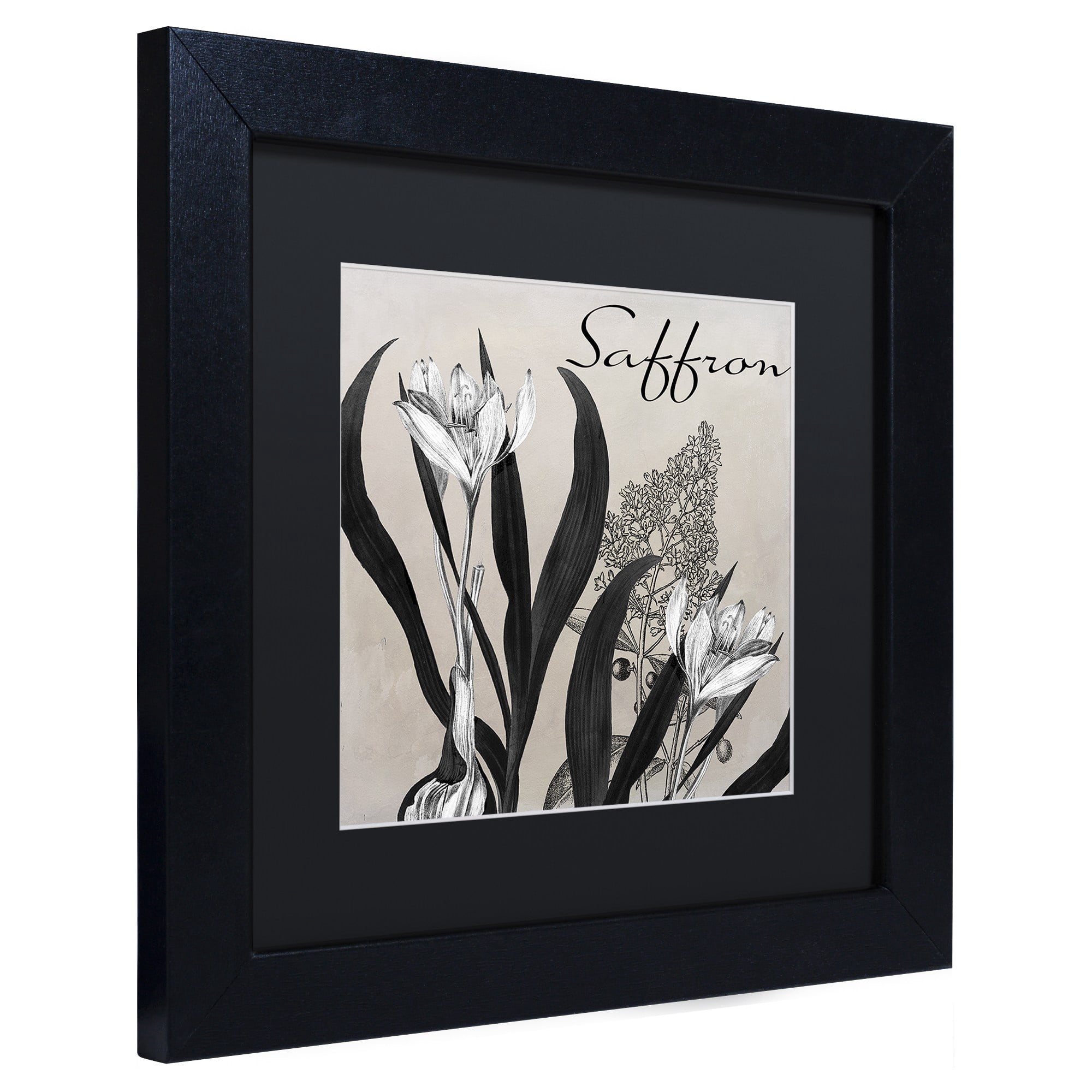 Trademark Fine Art "Flowering Herbs I" Canvas Art by Color Bakery Black Matte, Black Frame
