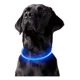 thumbnail image 1 of Collar De Perro Con Luz Led Recargable Usb Azul, 1 of 4