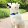 thumbnail image 7 of Didog Personalized Dog Collar Soft Padded Nylon with Custom Pet Name Engraved Buckle S-L, 7 of 7