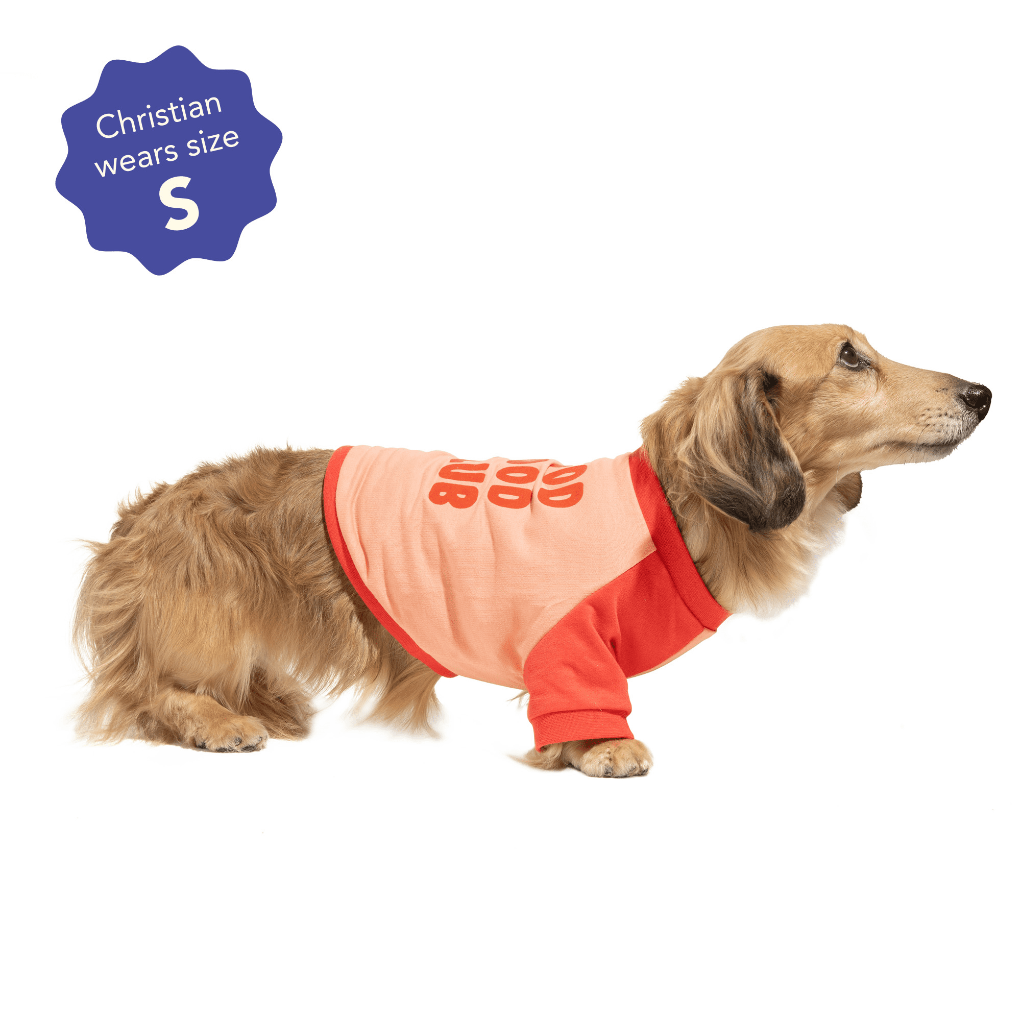 Oodles Pink Good Mood Club Spring Raglan Dog T-Shirt, Medium