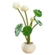 thumbnail image 1 of Whataatahia Lotus pequeño bonsái redondo plantas falsas decoración interior flores falsas simulación plantas verdes, 1 of 5