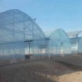 thumbnail image 2 of Flmtop Vegetable Greenhouse Anti-aging Plastic Cover Film, Agricultural Cultivation, 2 of 5