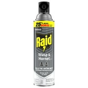 Raid Wasp & Hornet Killer Spray, 22 Ft Jet Spray Nest Killer, Outdoor, 17.5 oz