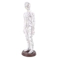 thumbnail image 1 of Acupuncture Model Human Body Model Full Body Acupuncture Practice Tool With Base Acupuncture Model Human Body Acupuncture Model Acupuncture Model With Base Full Body Acupuncture, 1 of 7