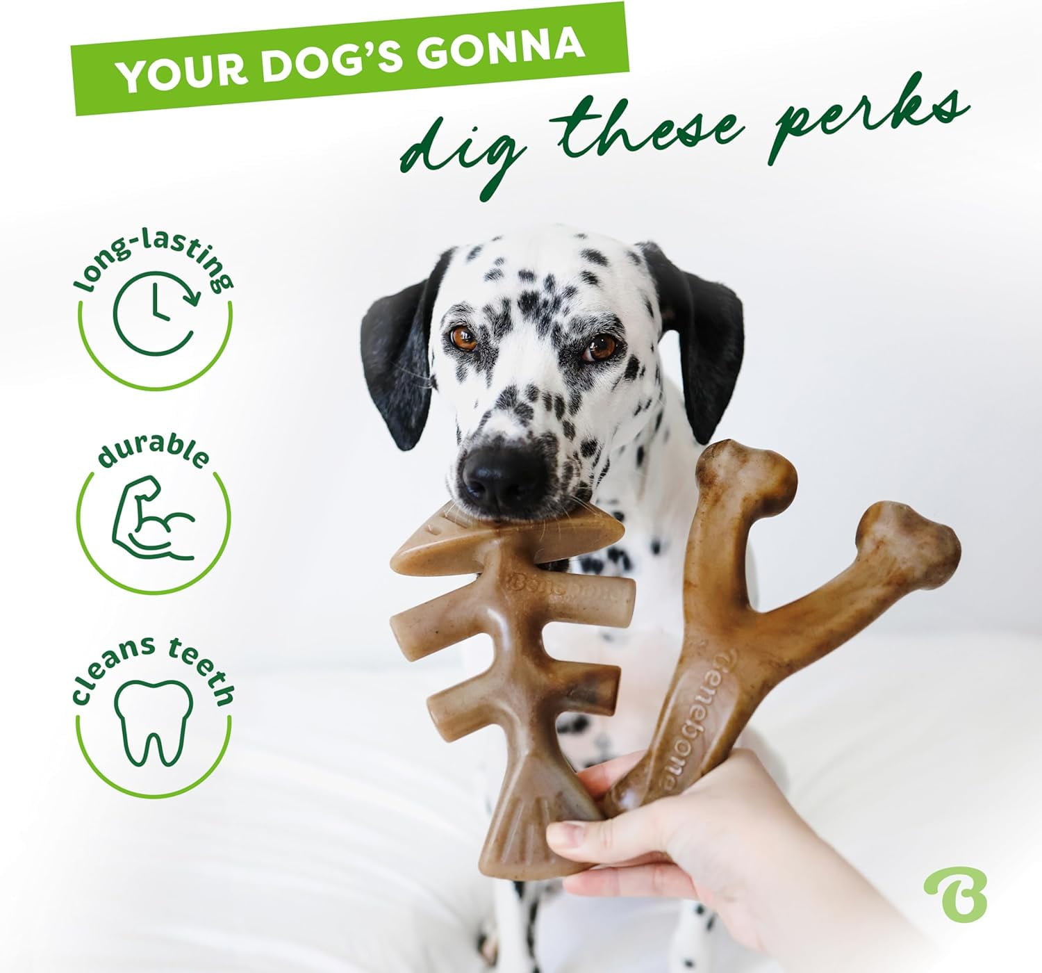 Benebone 2-pack Fishbone/Wishbone Durable Dog Chew Toys, Real Fish, Real Bacon, Medium
