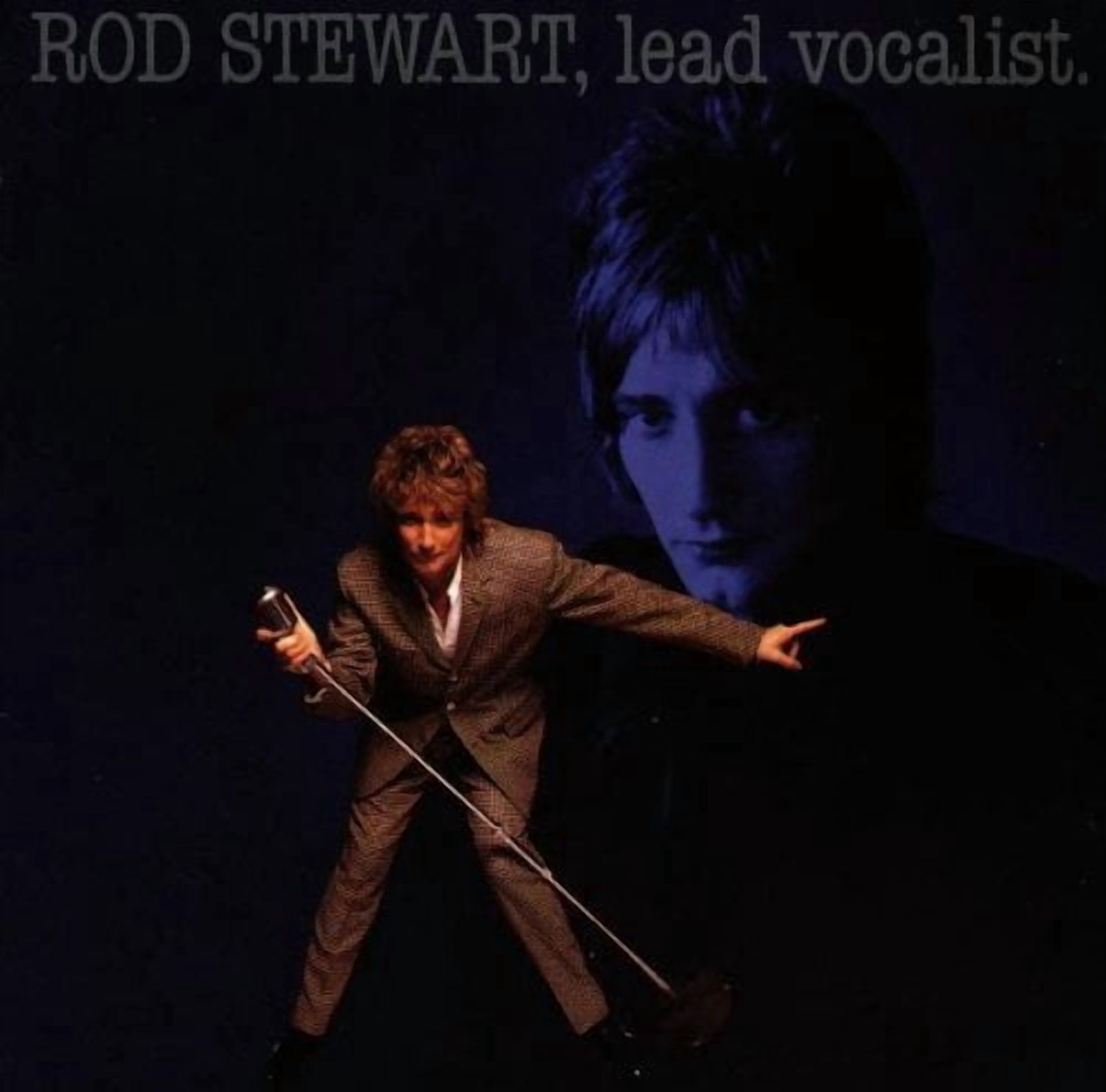 Rod Stewart - Camouflage - Music & Performance - CD - Walmart.com