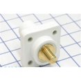 thumbnail image 1 of Réceptacle Blanc pour Femme, 1 of 1
