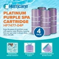 thumbnail image 2 of Hurricane 12 Pack HF7477-04P Platinum Purple Pool and Spa Cartridge Replacement, 2 of 7