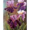 thumbnail image 1 of Cuadros Decorativos Pintura en lienzo de flores moradas, pintura al óleo por números, arte de pared, carteles de decoración del hogar Ehuebsd Nuevos Originales, 1 of 8