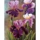 thumbnail image 1 of Cuadros Decorativos Pintura en lienzo de flores moradas, pintura al óleo por números, arte de pared, carteles de decoración del hogar Ehuebsd Nuevos Originales, 1 of 8