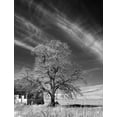 thumbnail image 2 of Johnson, George 26x32 Black Ornate Wood Framed with Double Matting Museum Art Print Titled - Palouse House and Tree, 2 of 4