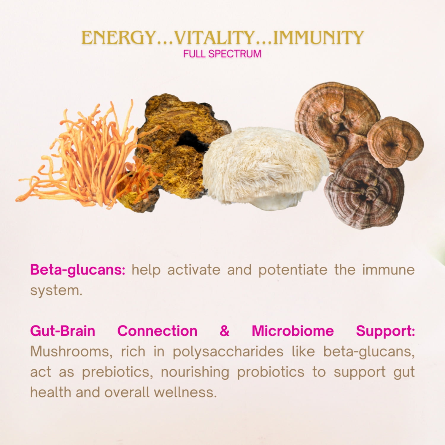Eleven TLC, A Wellness Co Organic Reishi Mushroom Extract Powder, 40 Servings, 82 Grams