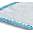 thumbnail image 3 of Attends Care Dri-Sorb Disposable Underpad Heavy Absorbency Cellulose / Polymer 17X24" UFS-170 10 pads, 3 of 6