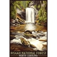 thumbnail image 3 of Decorative Tea Towel, Apron Pisgah National Forest, North Carolina, Unisex, Adjustable, Organic Cotton, 3 of 3