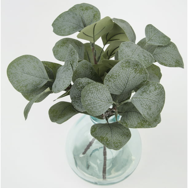 Better & Gardens 12" Artificial Eucalyptus in Glass Vase, Green - Walmart.com