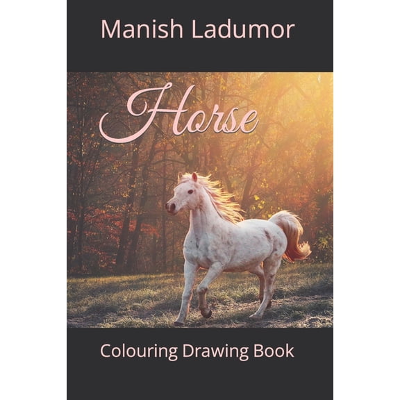 Horse: Colouring Drawing Book (Paperback)