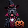 thumbnail image 3 of CafePress - Costumed Pitbull Halloween - Men's Dark Loose Fit Cotton Pajama Set, 3 of 7