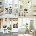 thumbnail image 7 of 2 Pack Indoor Plant Stand, Mid-Century Wooden Style Plant Holder, Indoor Outdoor Flower Stand,Small Round Table, Two Different Sizes(Black), 7 of 7