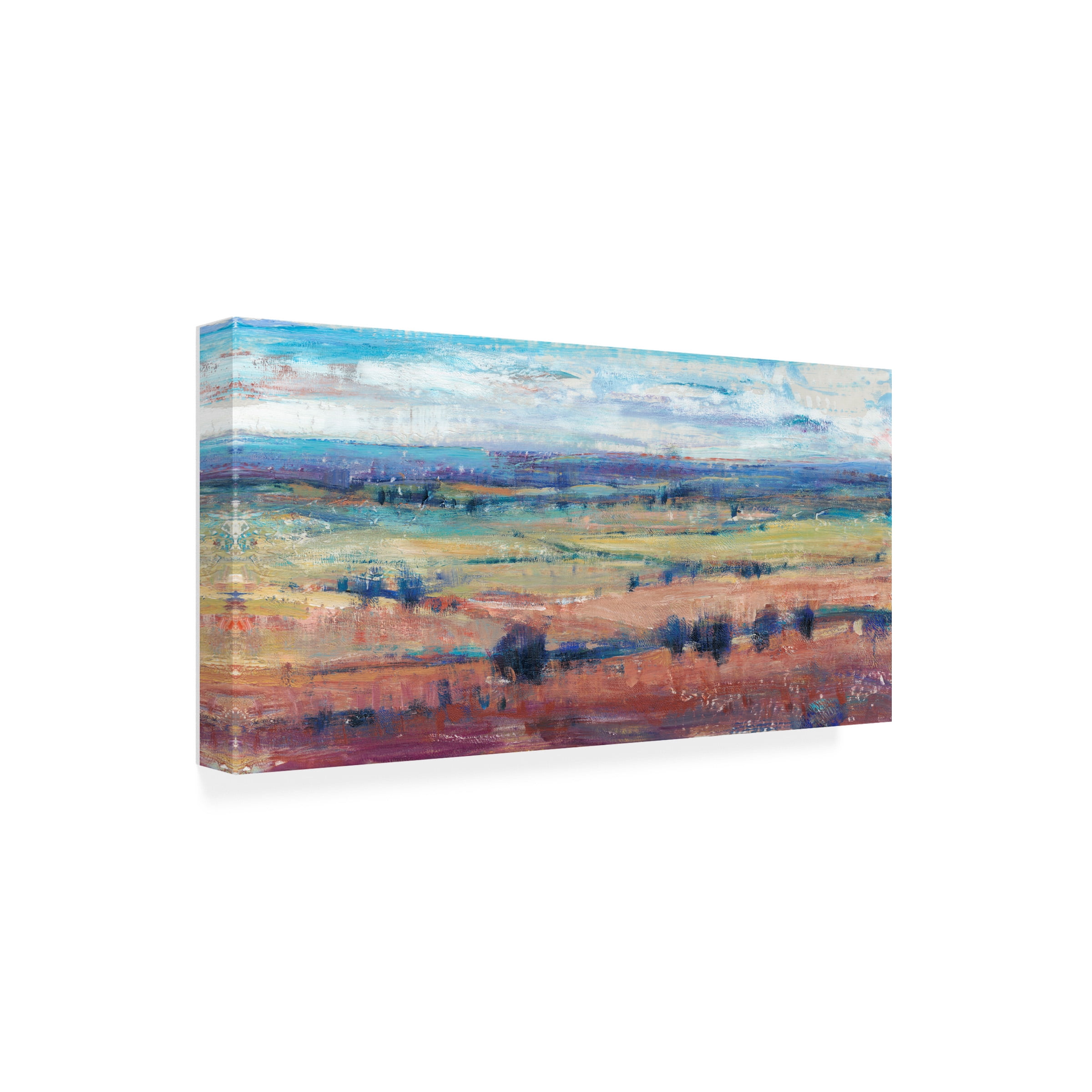 Tim O'Toole 'Temperate Terrain I' Canvas Art