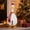 157 - Red, variant on Aurorax Snowman Porch Goose Outfit 19 inch,Goose Clothes for Cement Goose Porch Goose 23"/17",Blue Christmas Winter Porch Goose Accessories for Yard Outdoor Garden