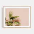 thumbnail image 2 of Palm plant in Morocco - Marrakesh Marrakesh-Safi Morocco Photography Palm Tree Minimalist Tropical Boho Pastel Summer Botanical Unframed Wall Art Print 18 x 24 inches, 2 of 4