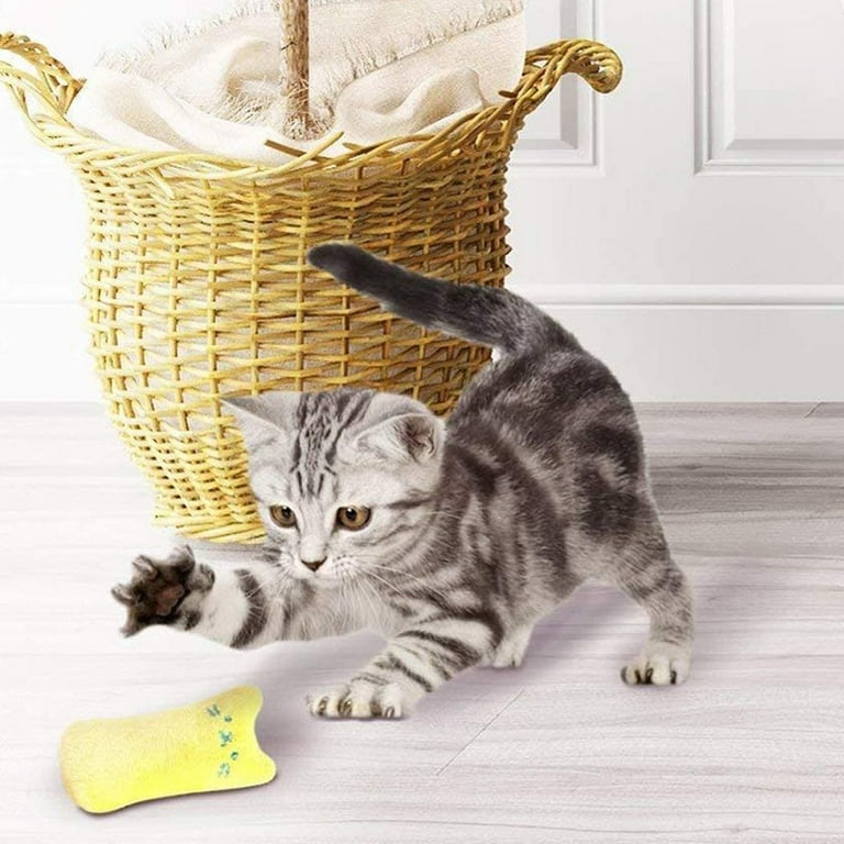 Entertaining cat cheap toys