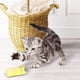 thumbnail image 2 of 5 piezas de juguete de peluche resistente a mordeduras de gato, uno de cada 5 colores Ormromra 2035657, 2 of 4