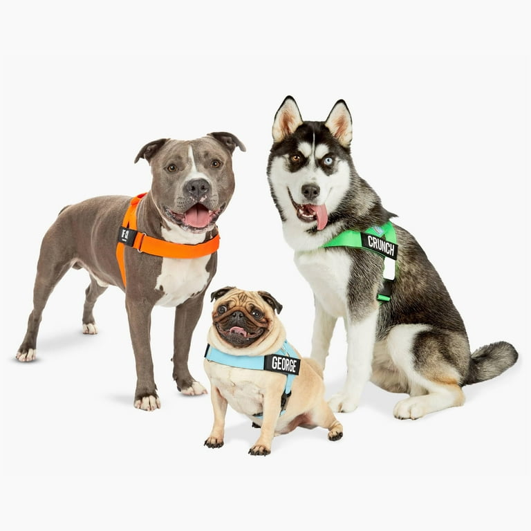 DF Co. Dog Harness | Chafe Resistant Webbing, Adjustable Neck & Chest, and  Heavy Duty D-Ring | Sturdy, Comfortable, Easy to Use | Neon Green, Size L -  Walmart.com
