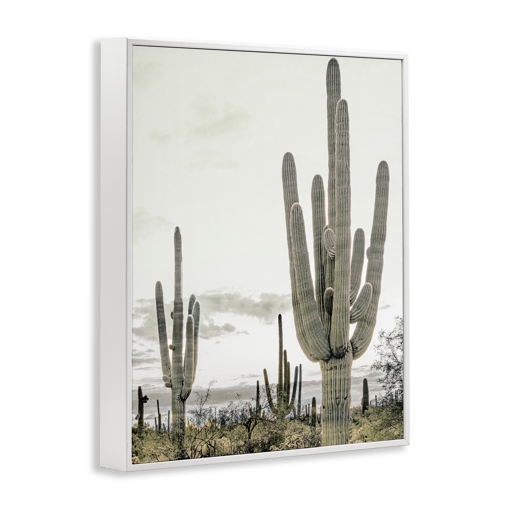 Stupell Industries Subdued Desert Cacti White Framed Giclee Art, design by Kim Allen