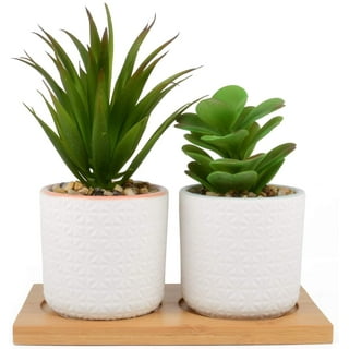 MyGift Mini Artificial Succulent Plants in White Ceramic Pots with Bamboo Saucers, Set of 3 (Assortment 4)