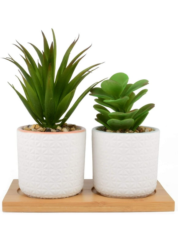 Artificial Plants in Artificial Plants and Flowers