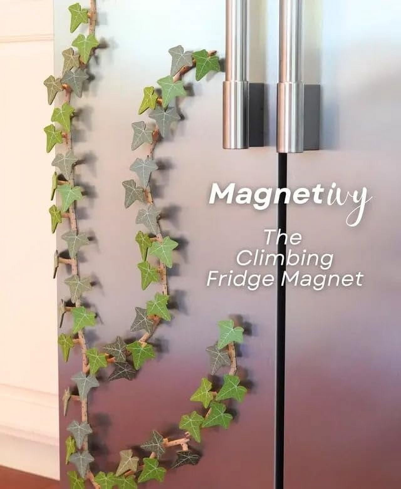 Ivy Fridge Magnet with Articulating Stems, Artificial Ivy Vines 3D Print Refrigerator Magnets