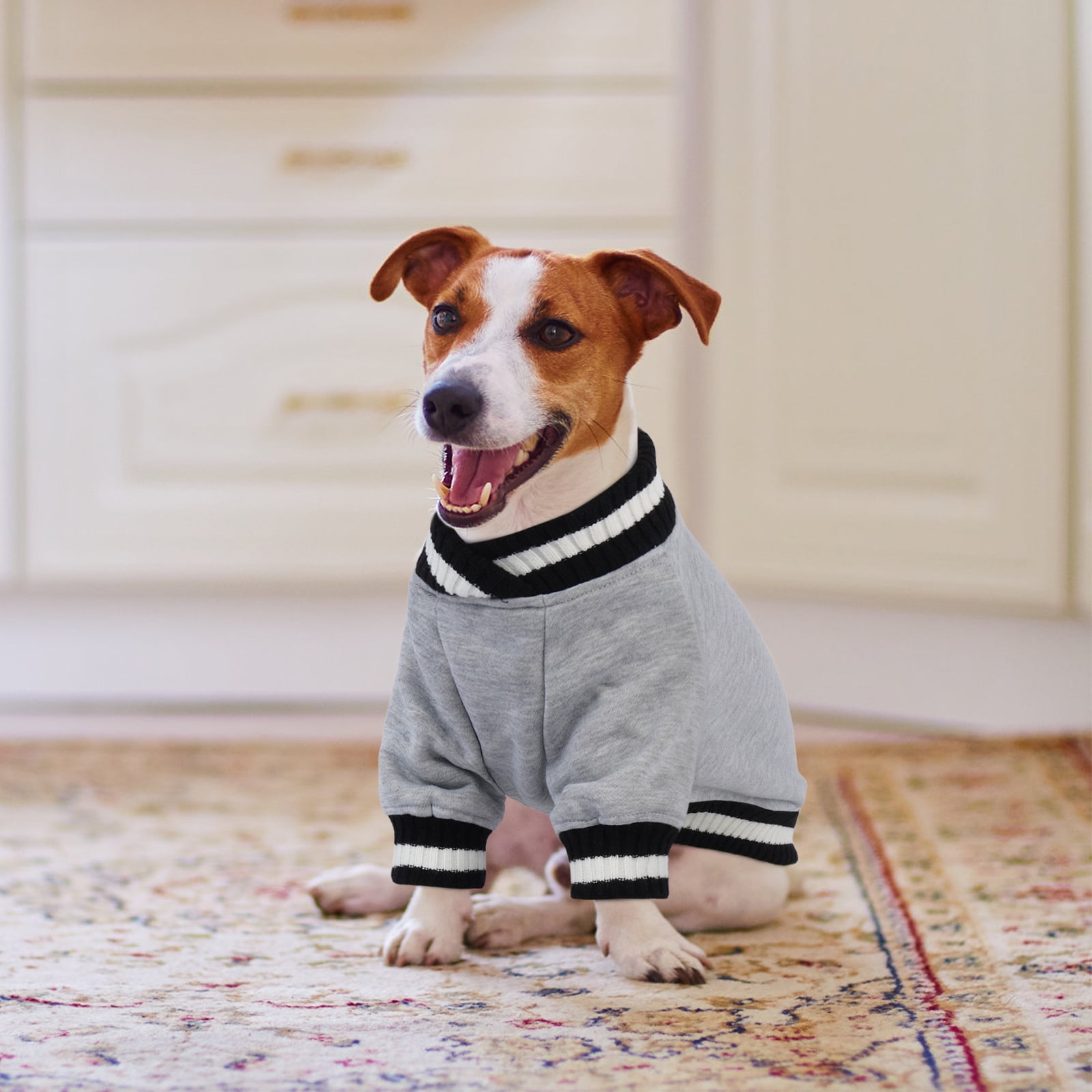 Kuoser Dog Winter Sweater, Cute Pet Pullover Vest, Soft and Thick Sweatshirt for Dogs and Cats, Gray, XS