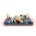 thumbnail image 1 of Cama Calefaccionada para Perros y Mascotas, 50X40 cm, Multicolor, 1 of 5