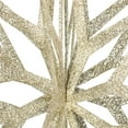 thumbnail image 3 of Vickerman M148538 Ornement Étoile de Champagne 3D 32 Po., 3 of 3