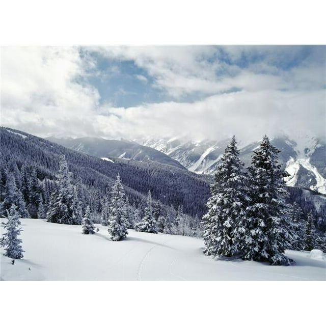 Posterazzi DPI1891766 Snow Covered Pine Trees On Mountain Poster Print, 18 x 13