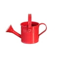 thumbnail image 2 of Mini regadera para jardinería doméstica: aspersor multiusos de hierro para plantas y hortalizas de interior o exterior., 2 of 6
