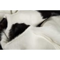 thumbnail image 2 of 72" x 84" White and Black Cowhide  Rug, 2 of 2
