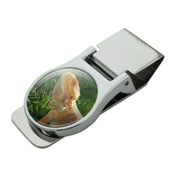 Bearded Dragon in Profile Satin Chrome Plated Metal Money Clip