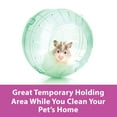 thumbnail image 6 of Kaytee Mega Run-About Ball for Pet Rats, Chinchillas and Other Large Small Animals, Clear 13 Inches, 6 of 12