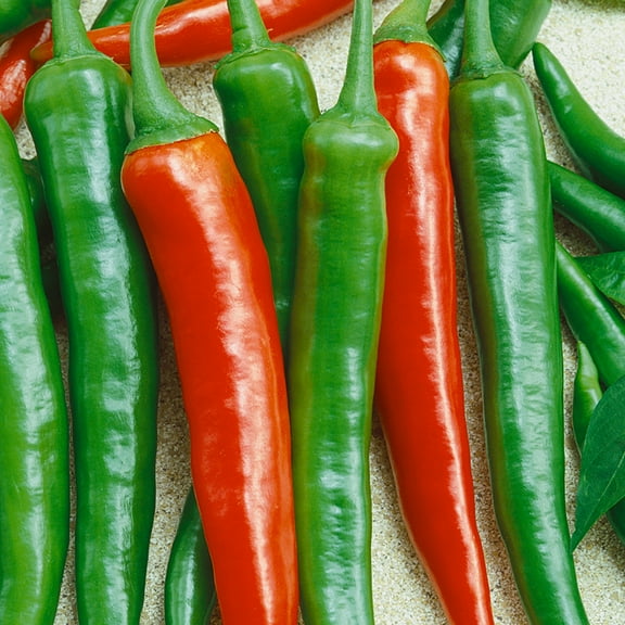 Thai Scorpion F1 Hybrid Hot Pepper Seeds - 300 Mg Packet ~40 Seeds - Non-GMO, F1 Hybrid - Vegetable Garden - Capsicum annuum