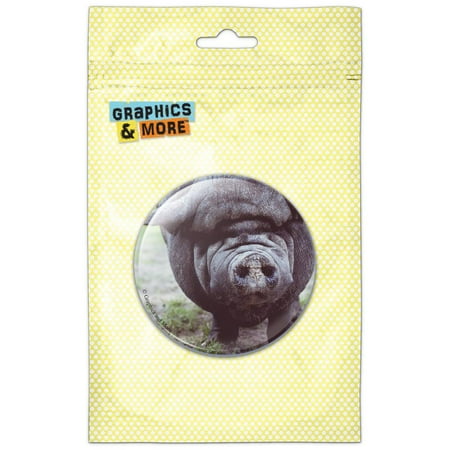 

Big Hog Pig Refrigerator Button Magnet