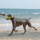 thumbnail image 5 of Dog Muzzle, Smiley Face Muzzle With Soft Breathable Air Mesh Nylon, Anti Biting Barking Chewing, Adjustable Dog Mouth Cover yellow, 5 of 5